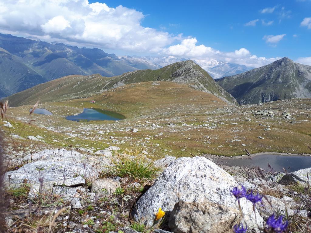 Apartament Alpensonne Reckingen Zewnętrze zdjęcie