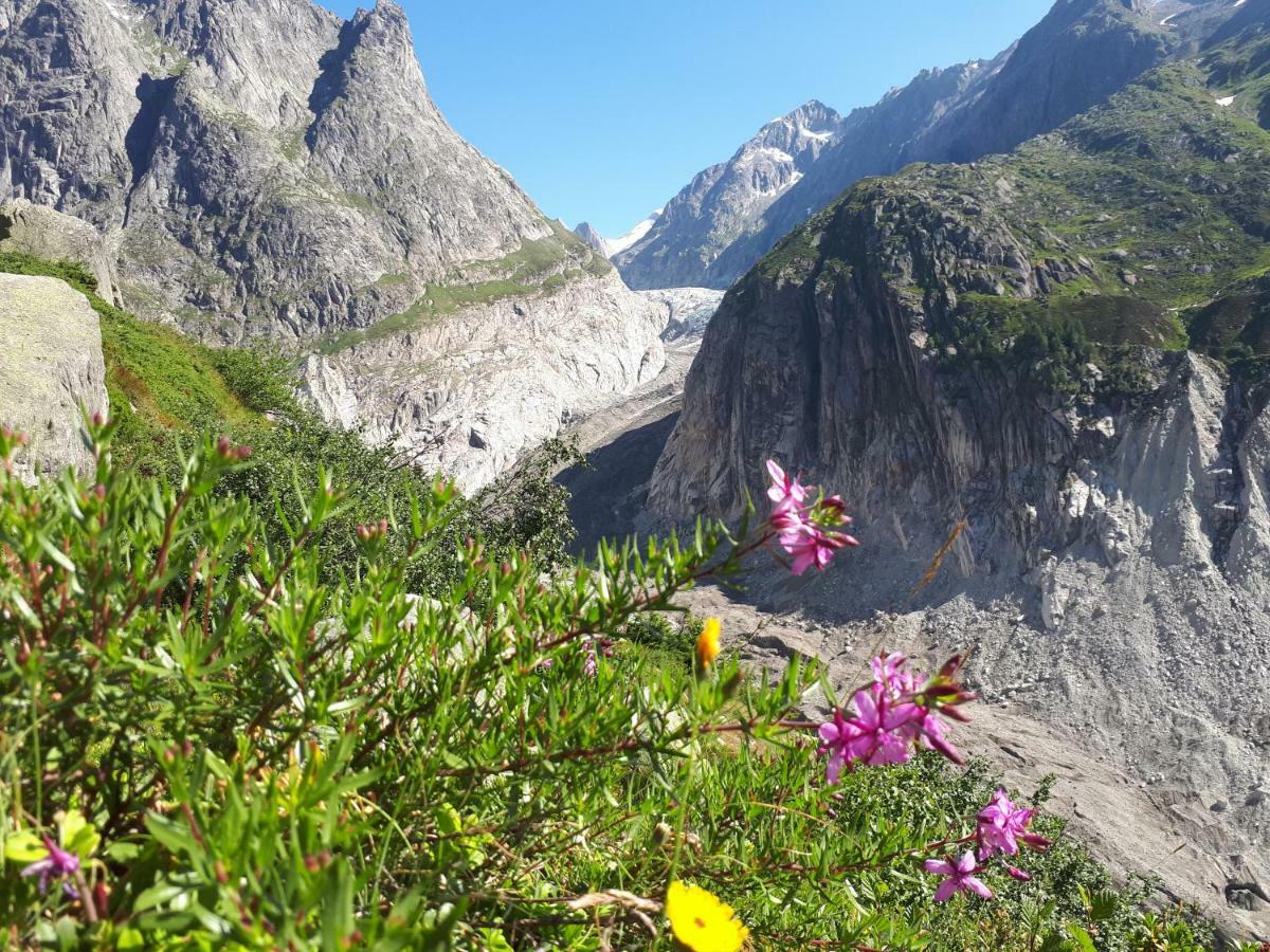Apartament Alpensonne Reckingen Zewnętrze zdjęcie